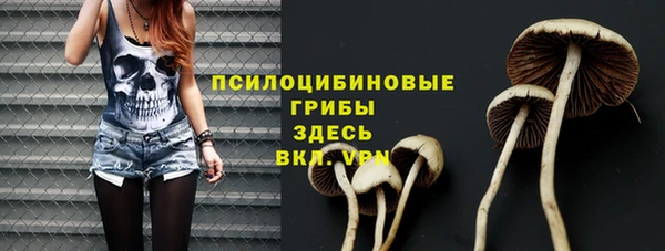 спайс Гусь-Хрустальный