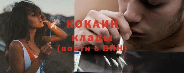 спайс Гусь-Хрустальный