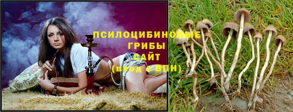 молекула духа Гусиноозёрск