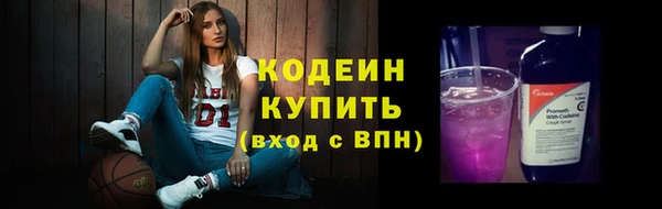молекула духа Гусиноозёрск
