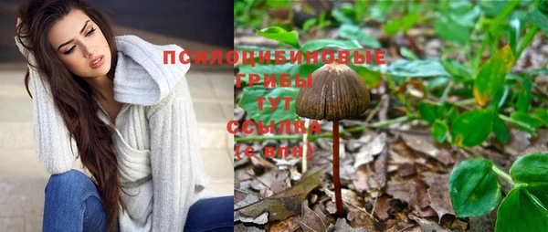 MESCALINE Гусев